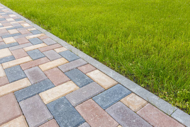 Best Affordable Driveway Paving  in Ave Maria, FL